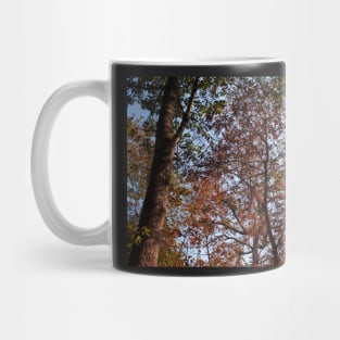 Autumn Leaves III Mug